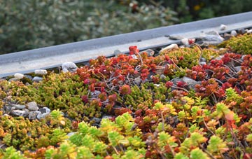the cost of Evington green roof installation