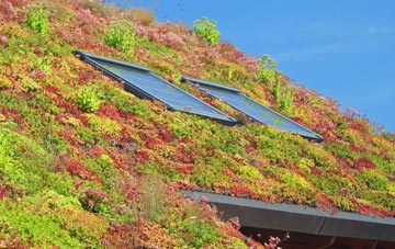 Evington living roof systems